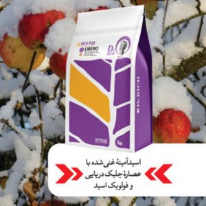 کود لیبرو، فرمانده قدرتمند